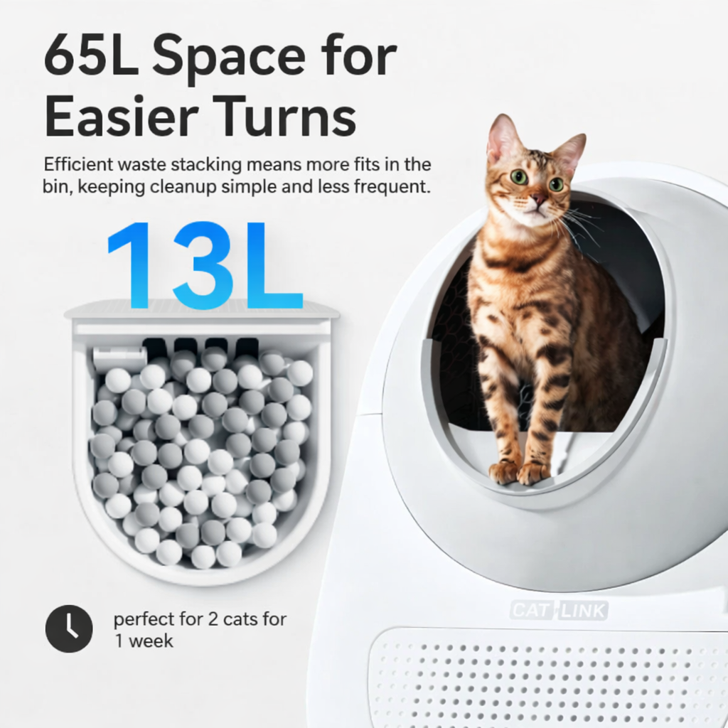 CATLINK Malaysia
